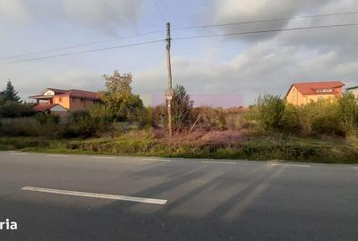 Teren de 1478 mp, în Adunații-Copăceni - 10