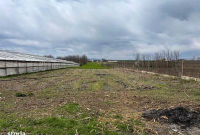 Teren de 6100 mp, în Corod - 1