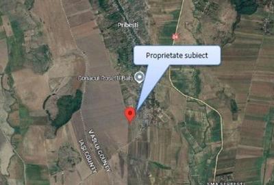 Teren Extravilan Pribesti, ID: R2774827 - 9