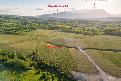 Teren deosebit/ Rasnov/13800 mp/Glajarie-Mestecanis-Poligon - 2
