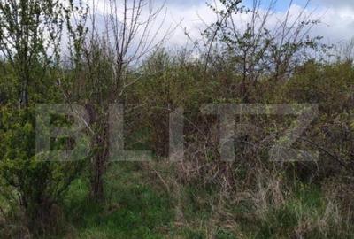 COMISION 0% LA CUMPARATOR Teren INTRAVILAN 8280 mp, zona L - 4