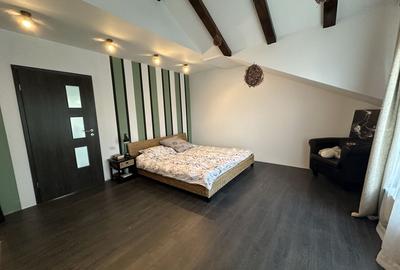 Casa P+ M in spate la Ikea - 27