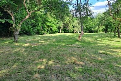 Teren de 3700 mp, în Porumbacu de Sus - 4