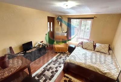 Curtuiusu Mare, casa 4 camere, suprafata utila 105 mp, teren 2431 mp - 3