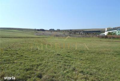 Spațiu comercial, în Rădaia - 1