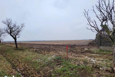 Teren de 4105 mp, în Nojorid - 2