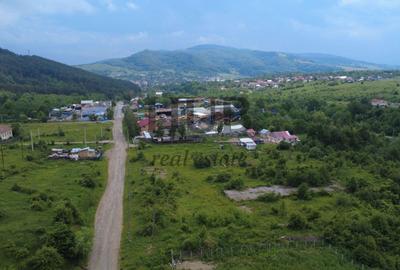 Teren intravilan curti constructii in Moinesti/Bacau - de vanzare - 3