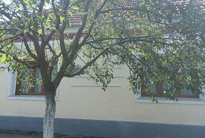Casă cu 6 camere în Alioș - 9