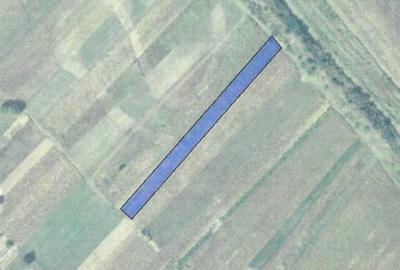 Teren Construcții intravilan de 2500 mp, în Joița - 2