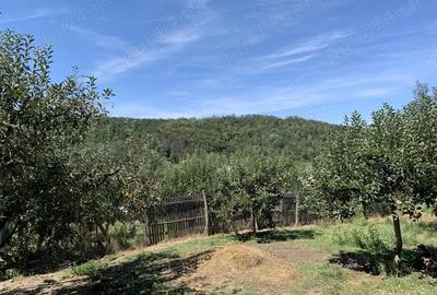 Teren în Boțești - 5