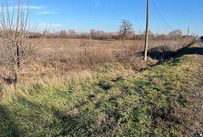 Teren intravilan, Săcădat, 27 921 mp. 9,5 Euro/mp. Comision 0. Teren intravilan, Săcădat, 27 921 mp. 9,5 Euro/mp. Comision 0. - 4