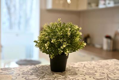 Apartament cu 2 camere decomandat în Crângași - 3