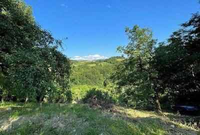 Teren zona turistica Rosia - 7