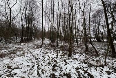 Teren de 2000 mp, în Polovragi