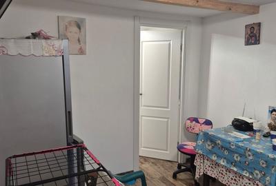 Casă cu 5 camere cu Teren 5000 Mp în Vidra - 3