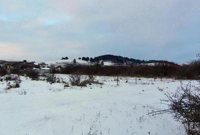 Teren de 800 mp, în Sânpetru - 2