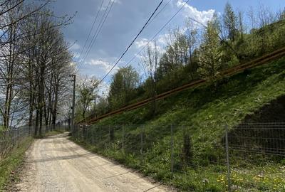 Teren Construcții de 4360 mp, în Teșila - 16