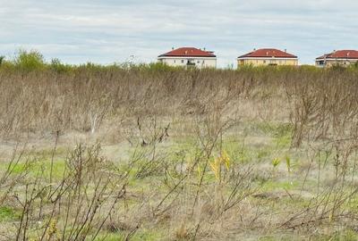 Teren extravilan Chitila/Mogosoia 15895mp - 4