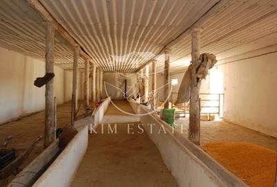 De vanzare ferma N.Balcescu - 5