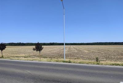 Vanzare teren intravilan industrial BRANESTI ( Makita) | 3750mp | deschidere la - 9