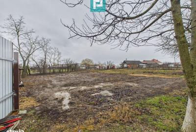 Casă cu 3 camere în Sintea Mică - 3