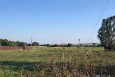 Teren intravilan, 12.200mp, zona Francei. (2 parcele-se va - 1