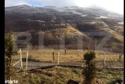 Casă cu 3 camere cu Teren 2330 Mp în Gilău - 4