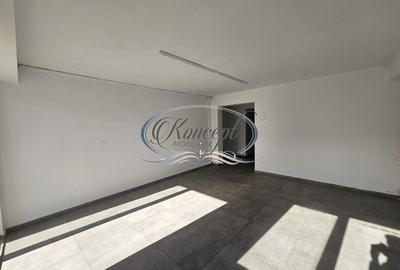 Spatiu vizibil pe strada Plevnei, trafic auto intens - 2