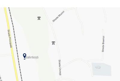 Teren de 700000 mp, în Berești-Meria - 7