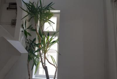 Casă individuală cu 8 camere cu Canalizare în Decebal - 6