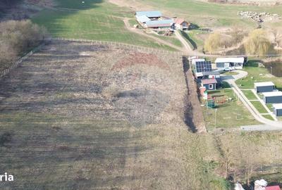 Spațiu comercial, în Laslea - 1