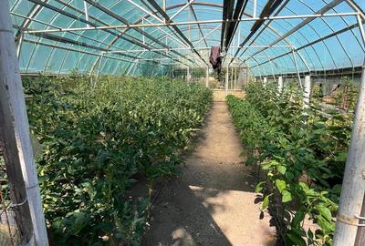 Casă cu 4 camere în Central - 3