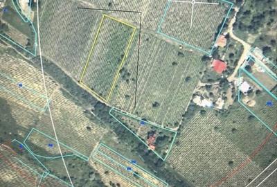 Teren de 2800 mp, în Exterior Vest - 2