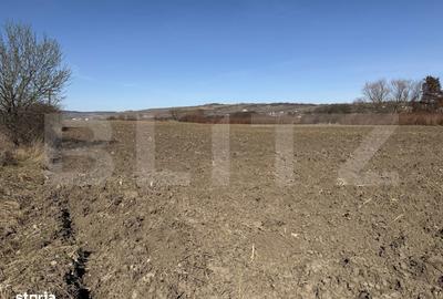 Teren de 4000 mp, în Hereclean - 3