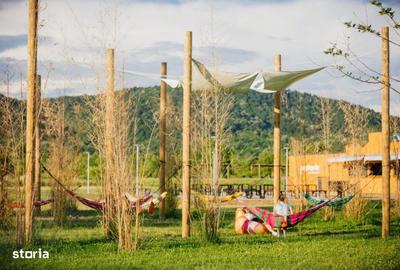 Teren de 40100 mp, în Cicârlău - 1