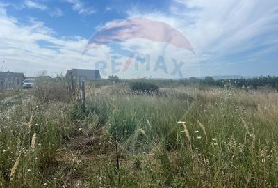 Teren Construcții intravilan de 585 mp, în Golești - 3