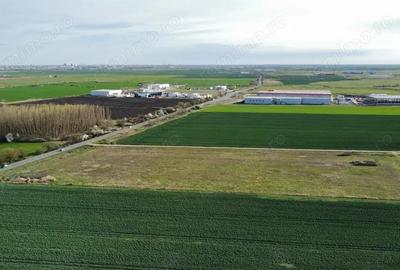 Teren de 28875 mp, în Central