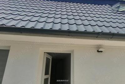 Casa Buzia?ului -Timi?oara cu 9 apartamente de vanzare - 2