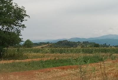 Teren Slatioara Horezu 3400mp - 2