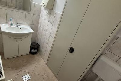 Hală,birourii/depozitare în zona Lugojului - 3