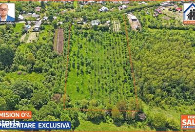 Casă cu 4 camere cu Teren 10000 Mp în Bălțești - 13