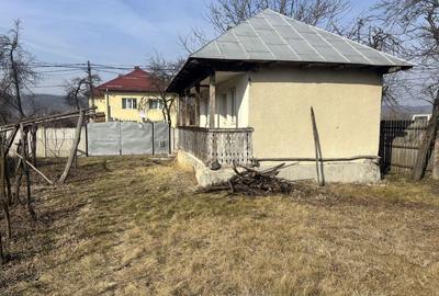 Casă cu 2 camere în Butanu - 5