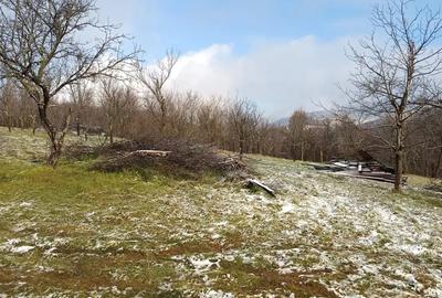 Vand casa cu 5000 mp teren - 3