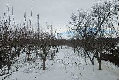 Casă cu 3 camere în Central - 1