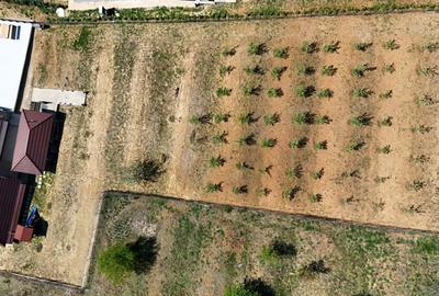 Casă cu 4 camere în Paleu - 14