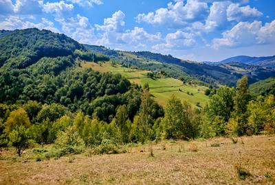 CASA TRADITIONALA, ANEXE si 46.980 mp teren partial INTRAVILAN BULZ - BIHOR - 22