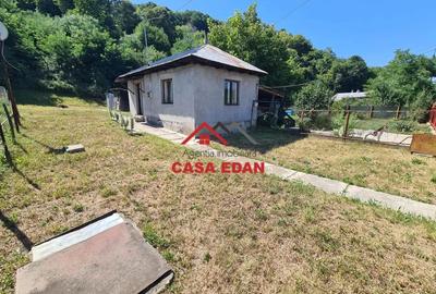 Casă cu 2 camere în Poiana - 8