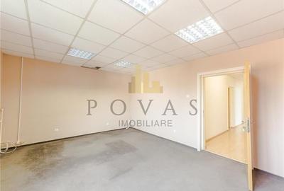 Inchiriere Casa Spatiu De Birou Jiului Damaroaia - 29