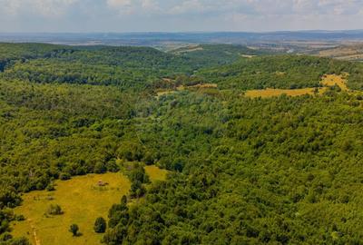 COMISION 0% Teren Grid/Inima Naturii/ Oportunitate de inv... - 4