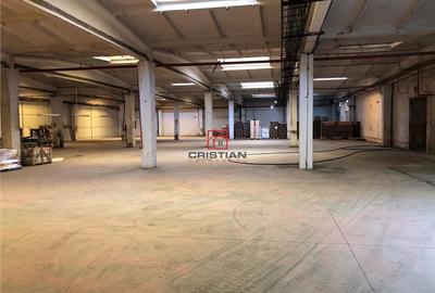 Spațiu comercial, de 15,000 mp, în Jilava - 13